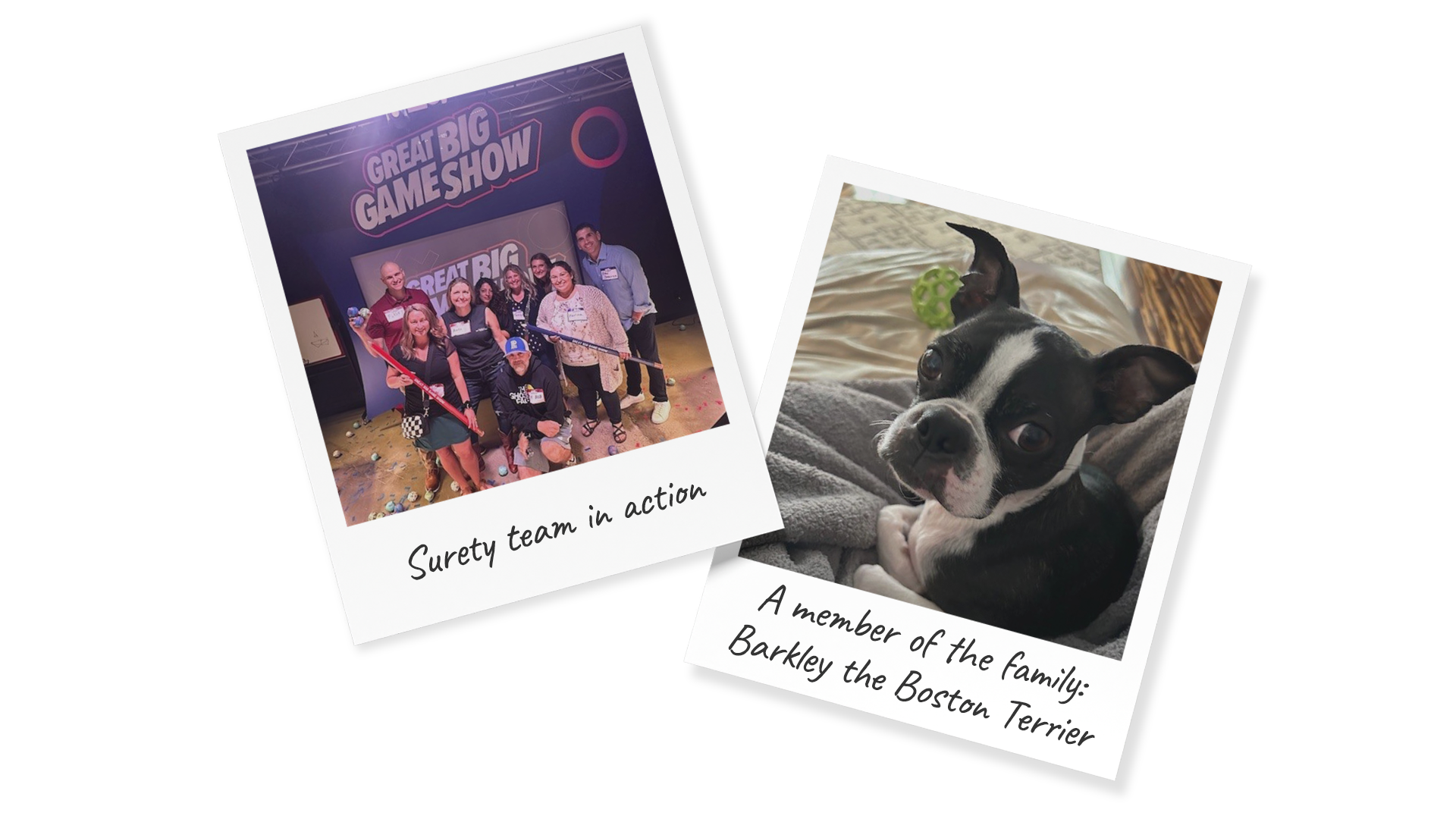 Polaroid images: Kristi Davis at a team event with her Surety team and on the right her Boston Terrier