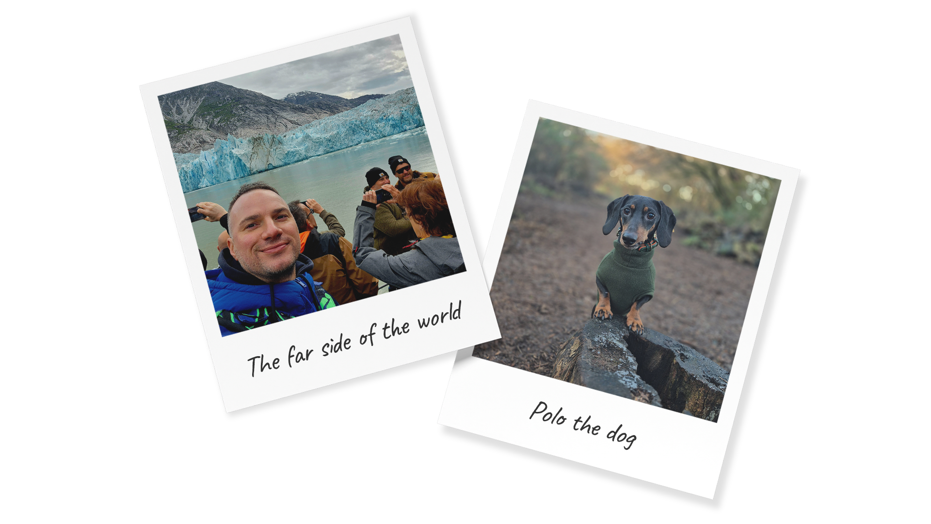 Polaroid images: one of Dominic Masny and one of his dog Polo